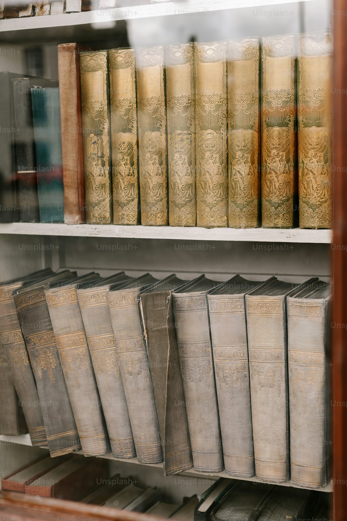 Library book collection