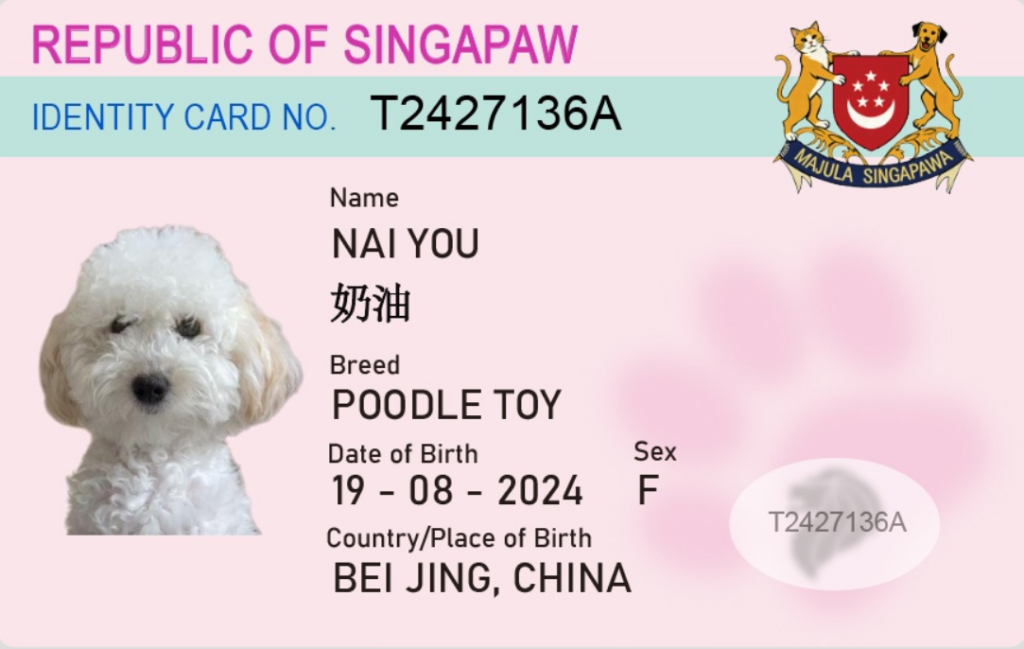 Custom pet ID card printing Singapore NRIC style with dog photo and details