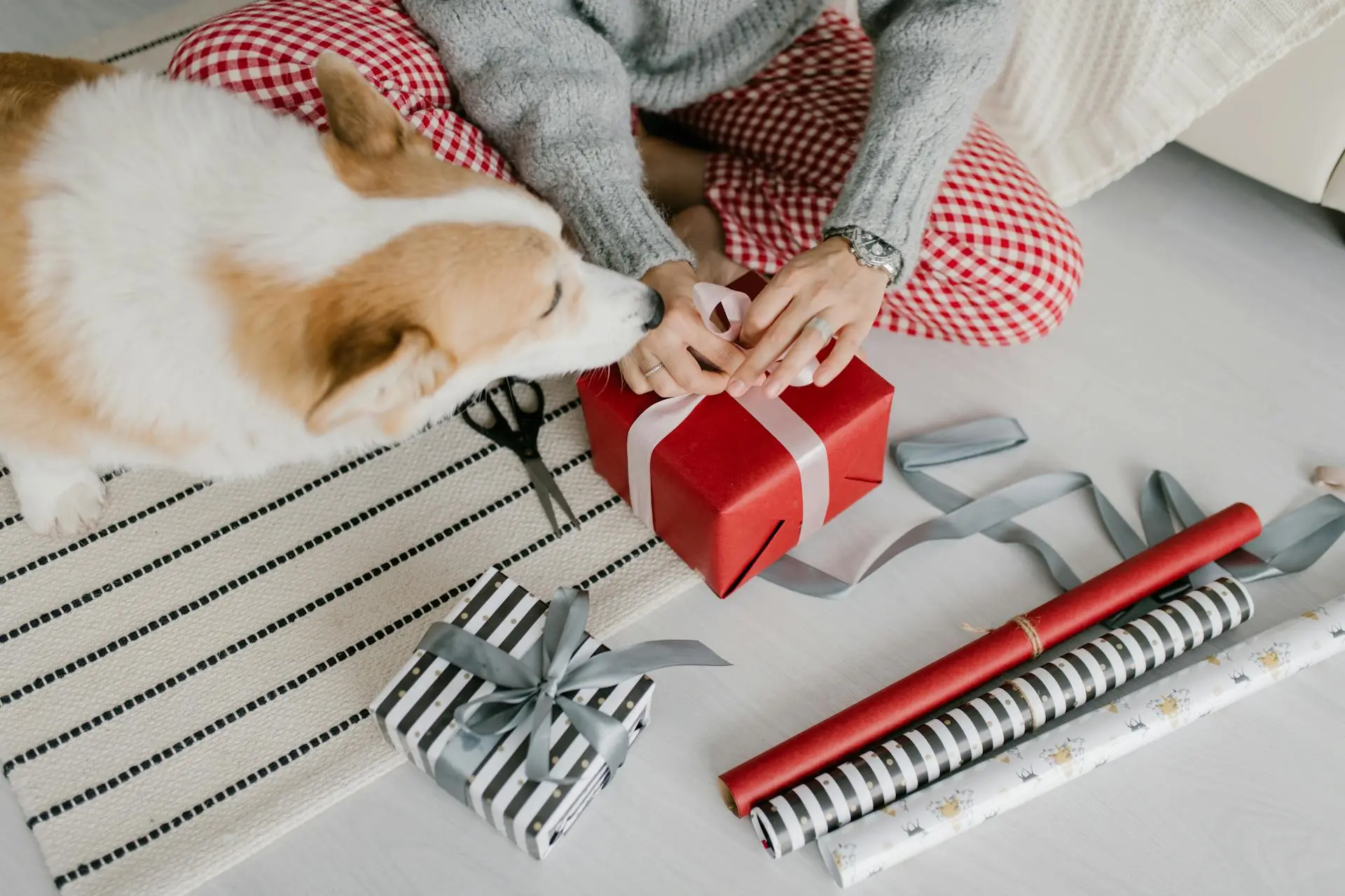 personalised pet gifts singapore custom pet gift and keepsake ideas