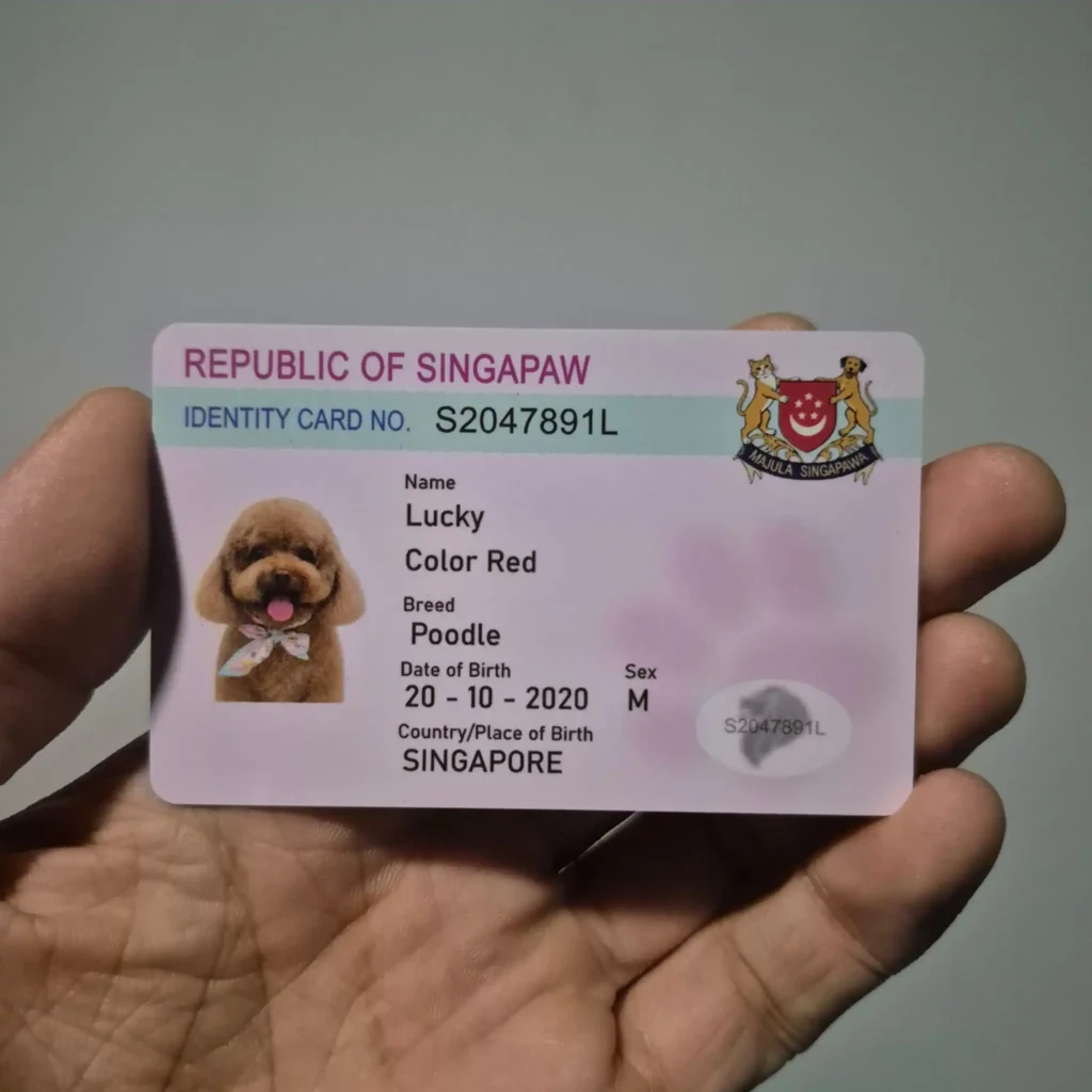 Pet ID card design example showing personalised pet details and professional printing quality