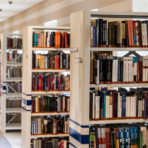 Library shelves filled with books — ideal for schools and libraries using book scanning to preserve collections.
