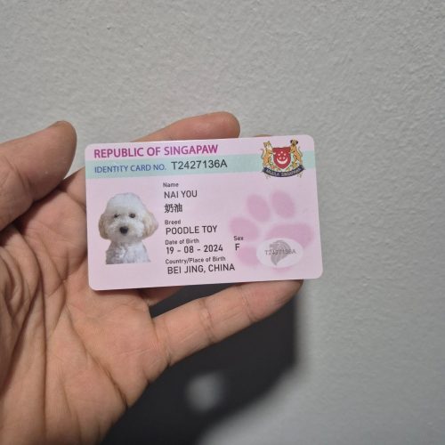 Real sample of custom pet ID card printing on durable PVC