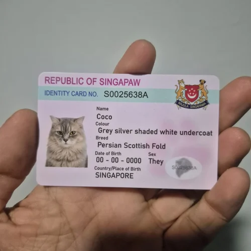 pet id card printing customised cat identity card design